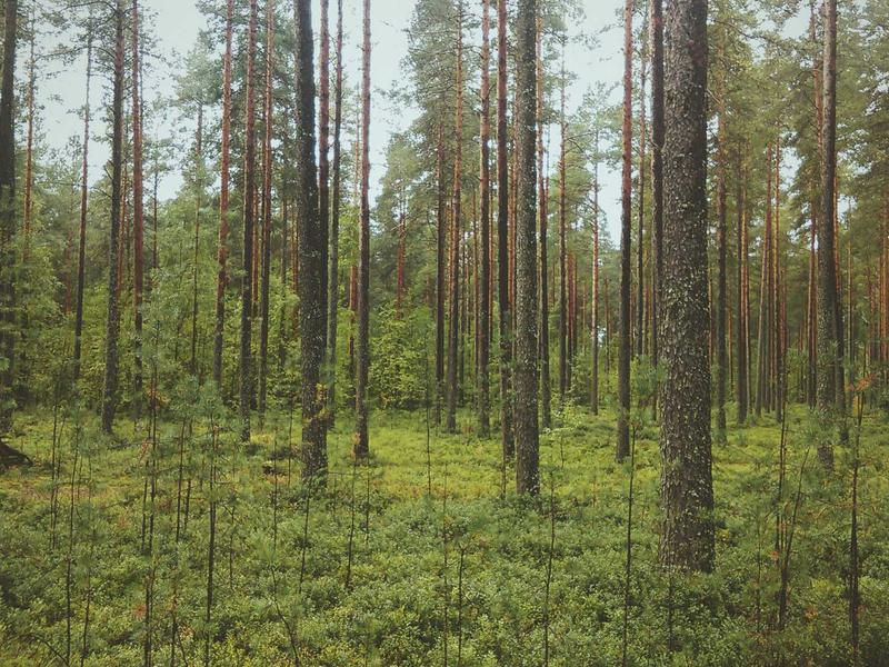 Daily news briefing for February 19, 2026